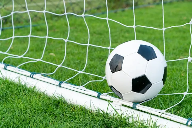 开云体育赛事直播